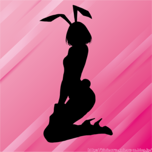 【画像】例のコスプレイヤーさん新作発表