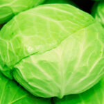 【悲報】キャベツ１個の値段→現在の価格、知ってますか！？