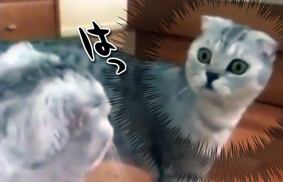 【画像】最近の焼肉屋、おしゃれすぎると話題にｗｗｗｗｗｗｗｗｗｗｗｗｗｗｗｗｗｗｗｗｗｗｗｗｗｗｗｗｗｗｗｗｗ