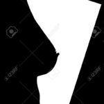 【画像】おっぱい!!