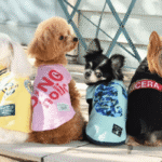 【討論】犬に服を着せる人←どう思います！？