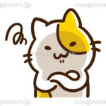 【画像】逆に昭和生まれのおっさん→キット知らない物がこちら！