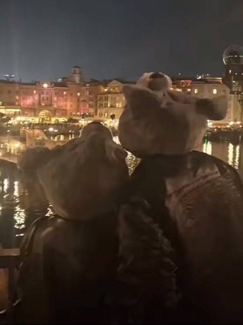 北川莉央さん、裏垢の存在を認め活動休止5