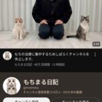 【悲報】愛猫もちまるの体調、今回の休止を受けファン悲鳴