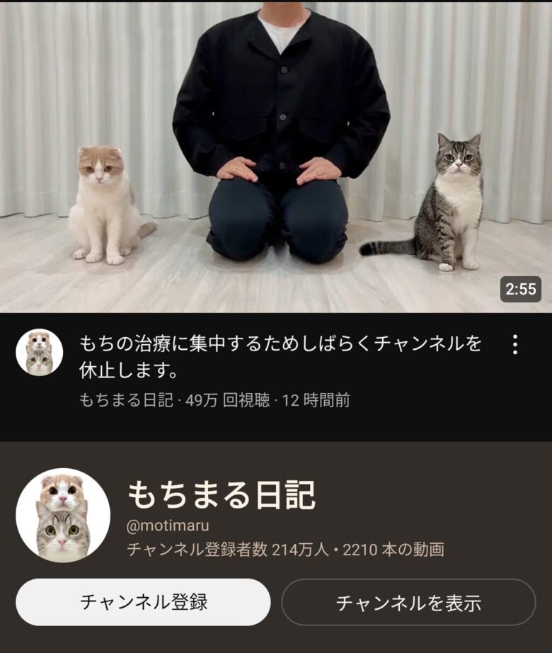 【悲報】愛猫もちまるの体調、今回の休止を受けファン悲鳴