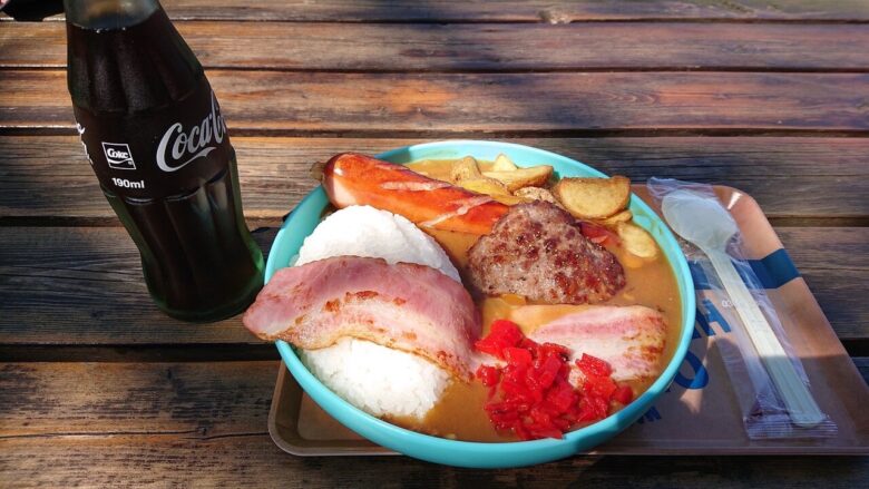 【画像】アメリカのカレーライスって何やねんｗｗｗ10ドルでどんなもんや！？