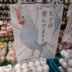 【画像】卵の魅力を発信！「私が卵産んでます！！」のこだわり紹介