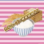 【朗報】国産信仰民、カルローズに敗北するｗｗｗｗｗ