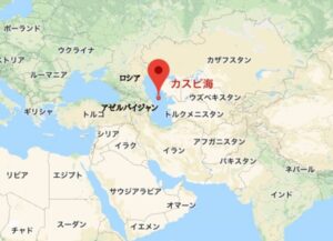 【討論】「カスピ海ヨーグルト」、流行りだした訳とは！？