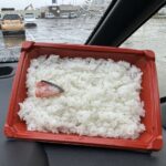 【画像】日本の弁当ここまで貧しくなるｗｗｗｗｗｗｗｗｗｗｗｗｗ