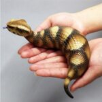 【悲報】ツチノコの正体、これだった！？