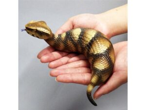 【悲報】ツチノコの正体、これだった！？