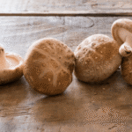 【決定!】きのこ界のMVPは・・