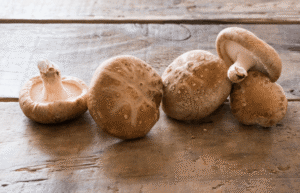 【決定！】きのこ界のMVPは・・