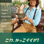 【画像6枚】なんて可愛いんだ！ → そんな娘さんを発見！！
