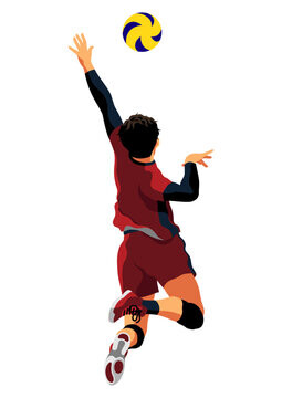 【画像6枚】女子バレー、トルコ代表選手はこちら！