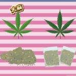 【悲報】清水尋也「大麻はやった、でもどこで買ったかは言えん」←これｗｗｗ