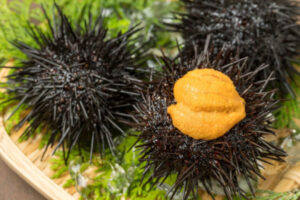 【画像】ウニって謎の卵かな！？