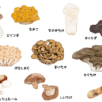 【質問】きのこ博士に尋ねます！