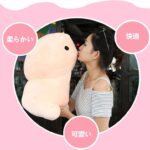 【画像】ぬいぐるみペ○ス、発見される