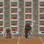 【画像】人気声優「え、声優なのに100m走るんですか？」