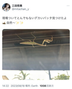 【画像】グラビアアイドル「とんでもなくでかいバッタがいた」