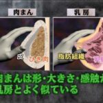 【知ってましたか！？】肉まんとおっぱいは似てるらしい