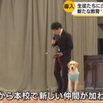 【画像11枚】スクールドッグ🦮を導入した学校、不登校が激減💥