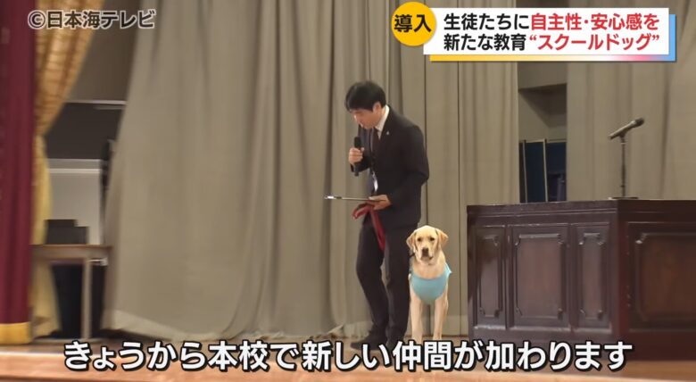 【画像11枚】スクールドッグ🦮を導入した学校、不登校が激減💥