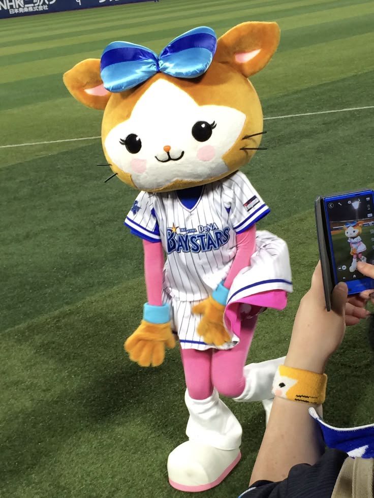 【画像】かわいいプロ野球マスコット(♀)たち！
