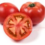 【スクープ！】どすけべトマト、まじエロい！！