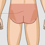 【画像】ガチでデカすぎる尻、見つかる