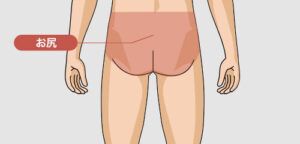 【画像】ガチでデカすぎる尻、見つかる